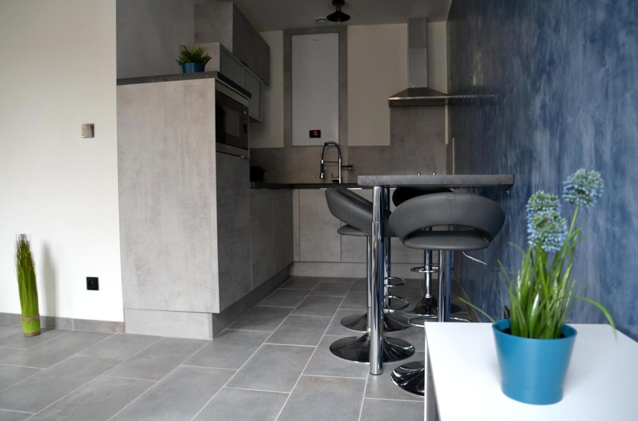 Le Cyclade, Appartement De Standing En Hyper-Centre. Sarreguemines Exterior foto